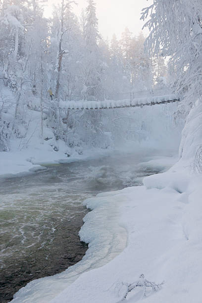 istock River in snowy forest at winter 177804309