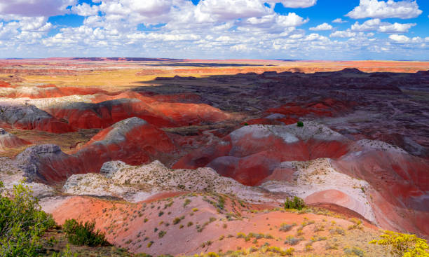 istock Painted Desert National Park 1778043762