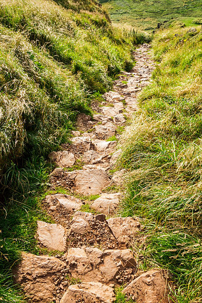 istock Stone footpath in the mountains leading to down 177805238