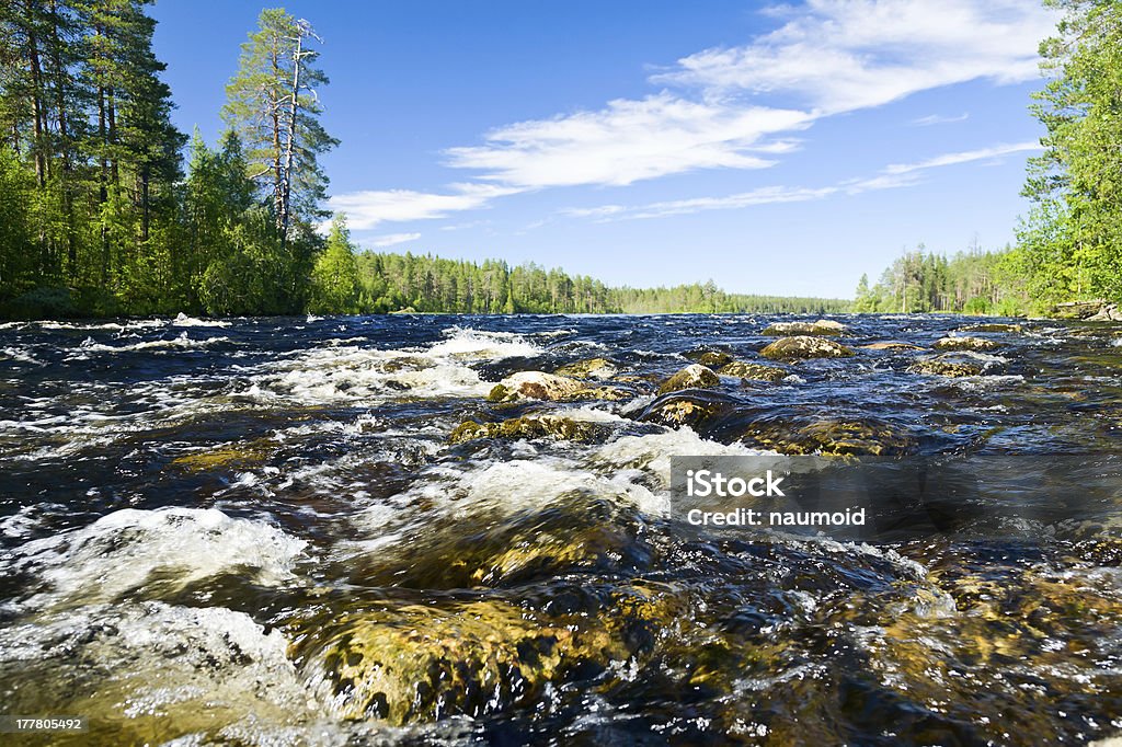 Rapide su un fiume - Foto stock royalty-free di Acqua