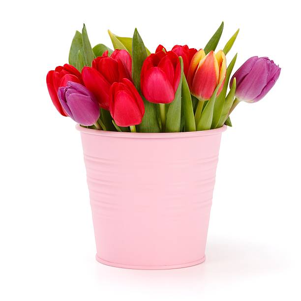 istock Bouquet of tulips 177805700