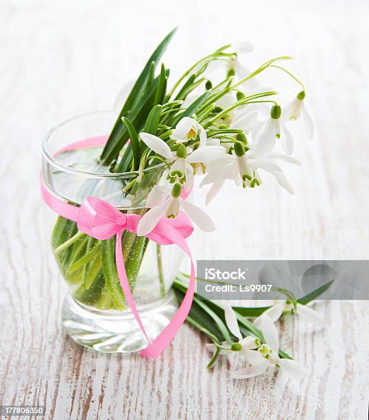 Ramo De Flores De Campanilla De Nieve Foto de stock y más banco de imágenes de Belleza de la naturaleza - Belleza de la naturaleza, Botánica, Brote