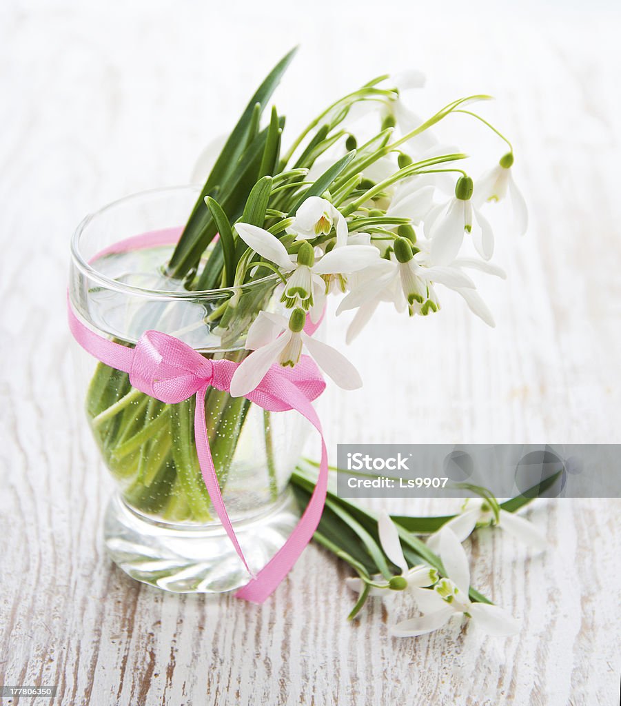 Ramo de flores de Campainha branca - Royalty-free Beleza natural Foto de stock