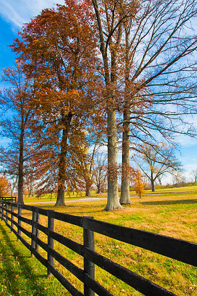 istock Late Autumn at countryside. 177807079