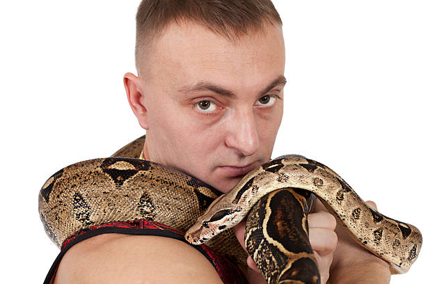 istock Portrait of man with boa snake 177807123
