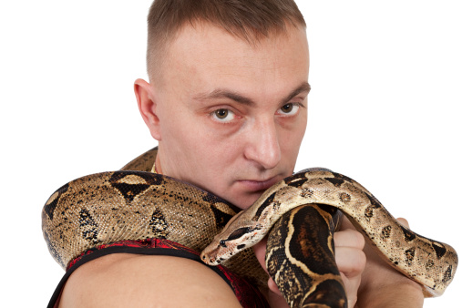 Portrait of Young Caucasian man with boa snake. Closeup.