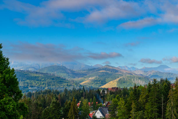 istock mountain view forest landscape Poland Zakopane 1778072704