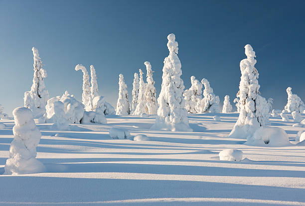 istock Winter landscape with snowy trees 177807490