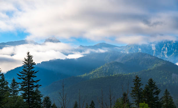 istock mountain view forest landscape Poland Zakopane 1778075087