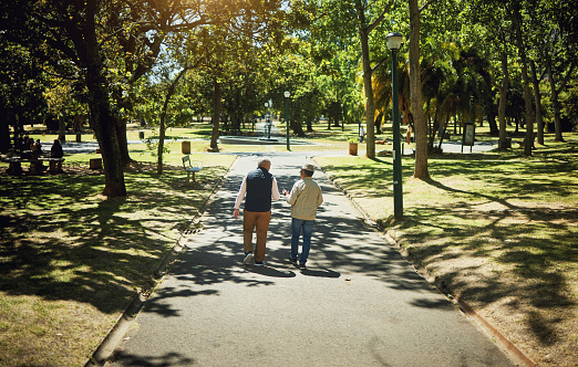 Friends, men walking and talking in park, nature and outdoor in retirement with support and communication. Social, people and above path on sidewalk in New York with conversation and community