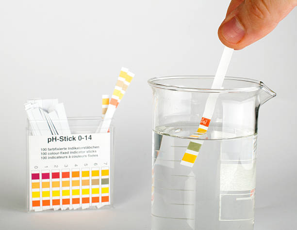 Litmus strips Litmus strips for measurement of acidity.Beaker with water alkaline stock pictures, royalty-free photos & images
