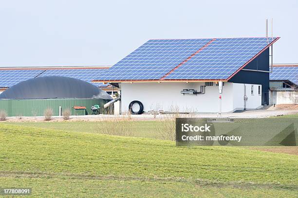 Energia Alternativa Con Bio Carburante - Fotografie stock e altre immagini di Agricoltura - Agricoltura, Ambientazione esterna, Ambiente