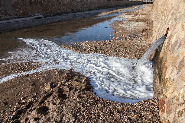 Photo of Environmental contamination and toxicology