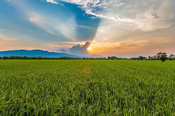 tramonto - foto stock