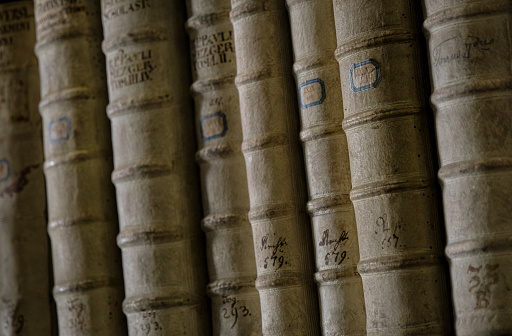 Centuries-old antiquarian books in historical bindings.