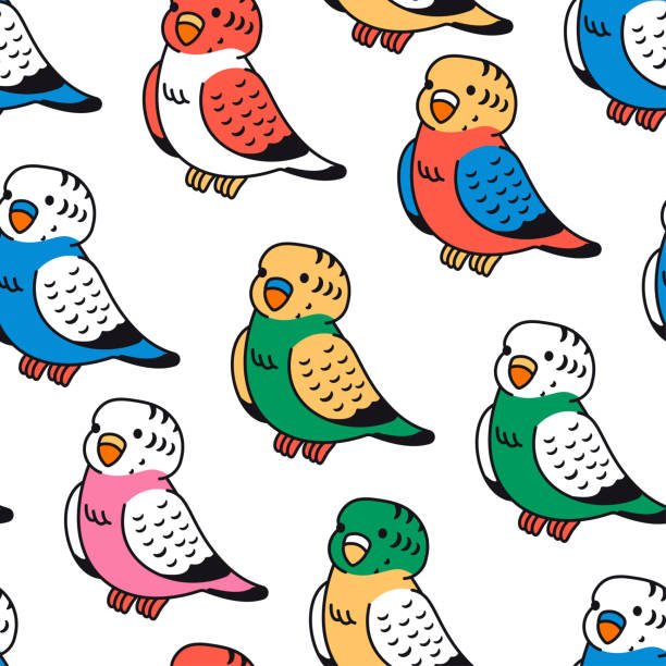 Parakeet bird vector cartoon seamless pattern background for wallpaper, wrapping, packing, and backdrop. Parakeet bird vector cartoon seamless pattern. echo parakeet stock illustrations