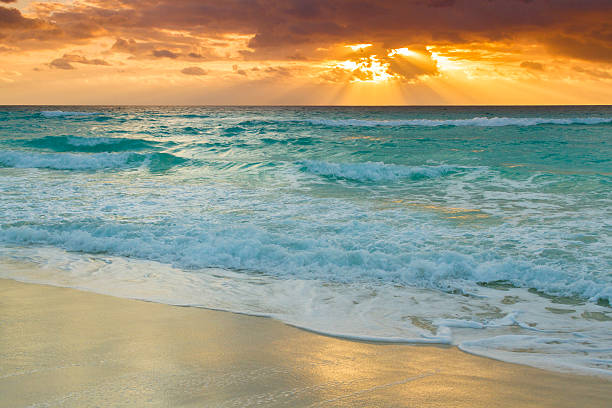 istock Beach of the Caribbean Sea 177810679
