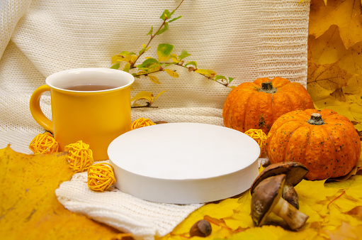 Autumn still life in yellow-orange tones: a white knitted plaid and leaves, empty podium white scene surrounded by yellow leaf frame a yellow mug pumpkins, mushrooms, nuts and balls of yarn.