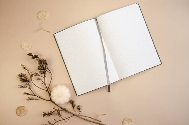 istock Notepad copyspace on tan beige background with dry brown branches. Autumn minimal flatlay blank pages template mockup 1778118909