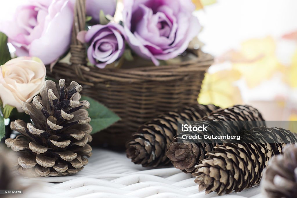 Tabla de accesorios con conos de pino y follaje de otoño - Foto de stock de Amarillo - Color libre de derechos