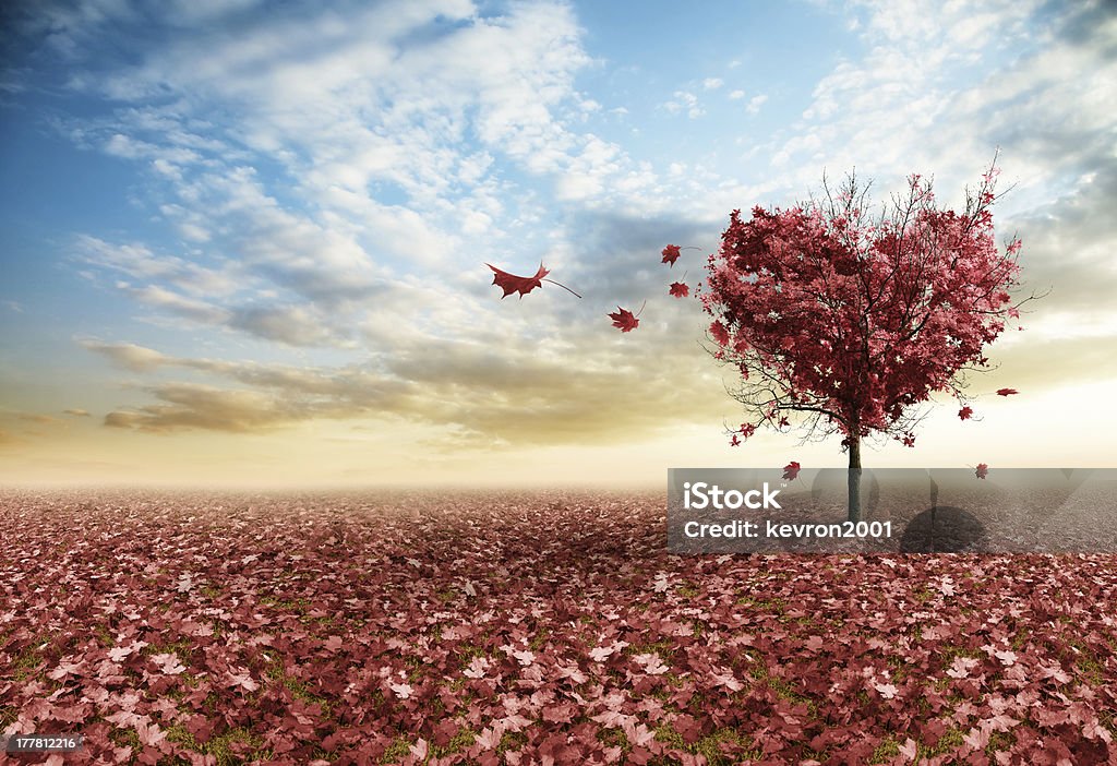 Red heart tree Red maple tree in shape of a heart Love - Emotion Stock Photo