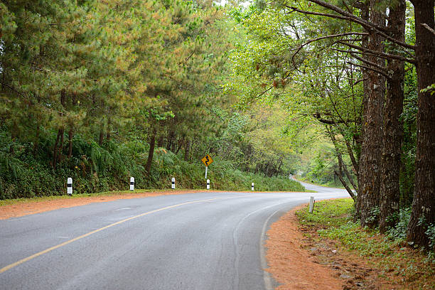 istock The S curve asphalt road is along with forest 177812623