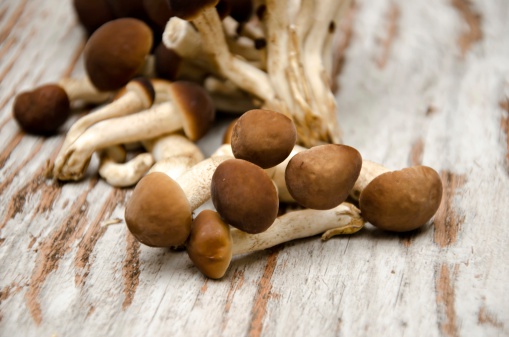 Several fresh mushrooms cut rencien on rustic background