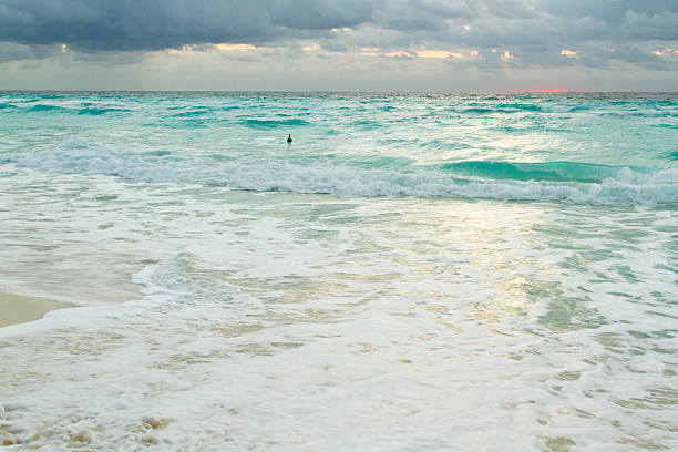 istock Beach of the Caribbean Sea 177813696