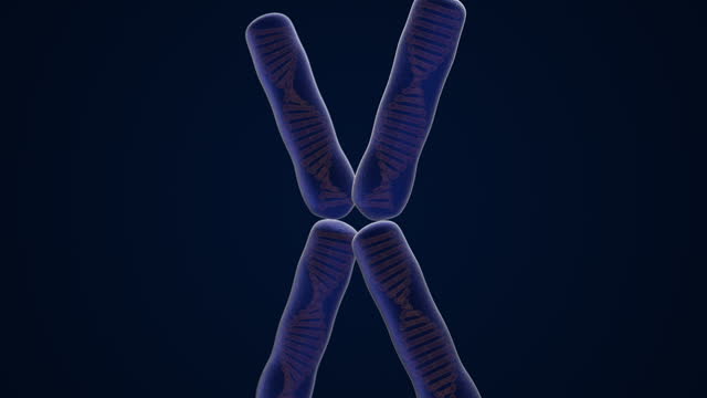 Chromosome and DNA structure Medical science and biotechnology background