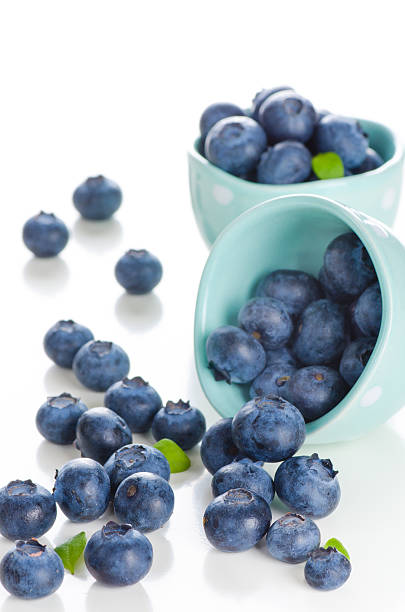 istock fresh bilberries in a bowls 177814265