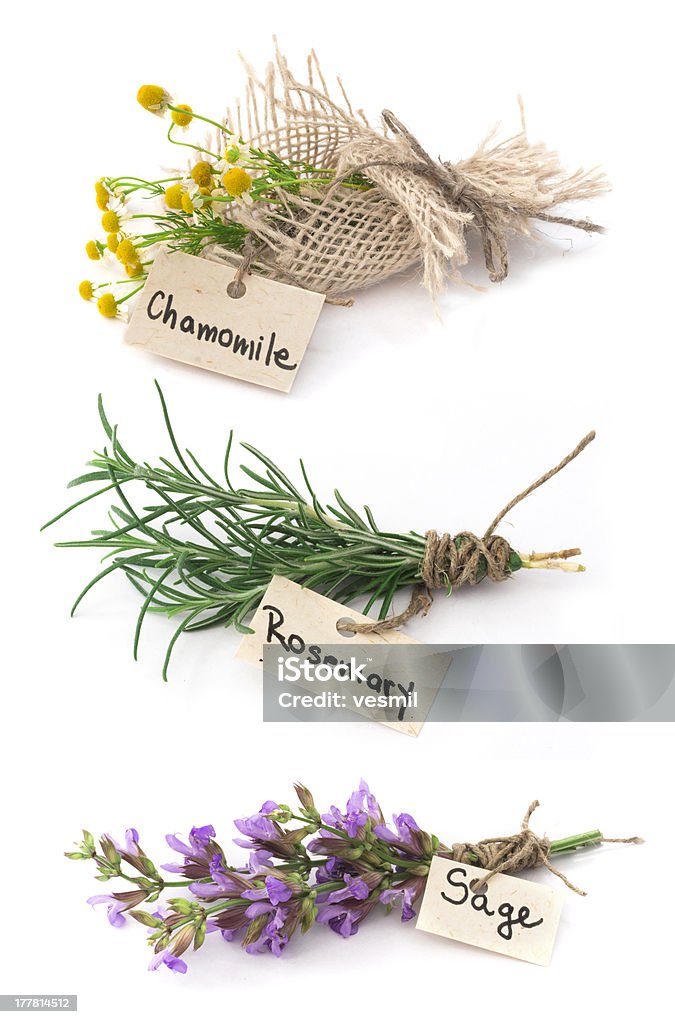 sage, rosemary and chamomile, isolated on the white background Arrangement Stock Photo