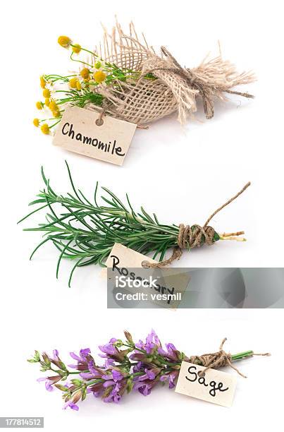 Sage Rosemary And Chamomile Stock Photo - Download Image Now - Arrangement, Chamomile, Close-up