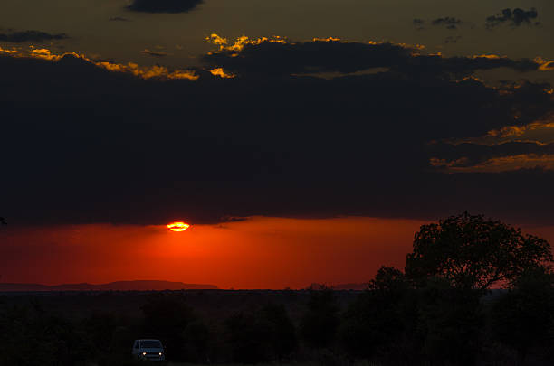 istock Car driving through Kruger National Park at Sunset 177814767