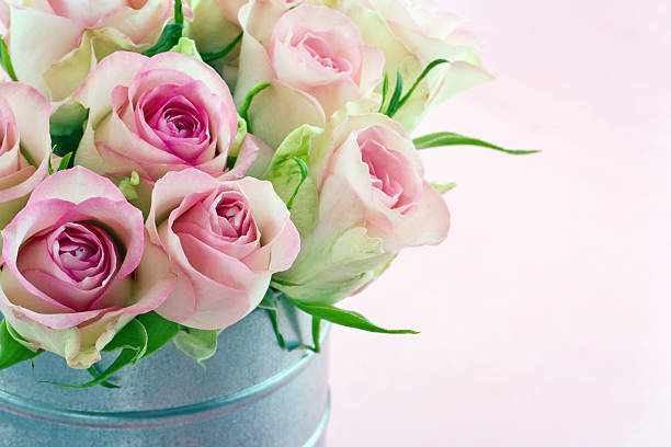 istock Pink roses in an old metal bucket 177814939