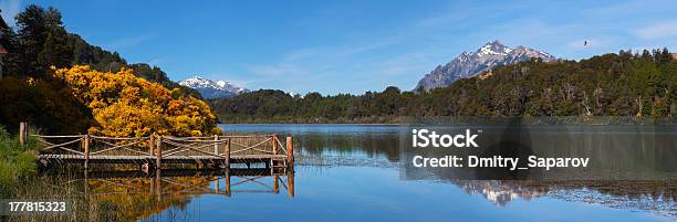 Trebol Laguna Patagonia Argentina - Fotografie stock e altre immagini di Acqua - Acqua, Acque calme, Albero