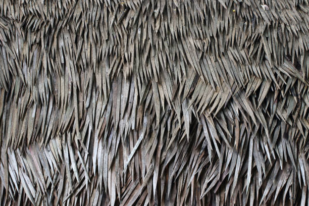 istock Patterns and Textures of Spiky Wood. thorn pattern background. 1778154671