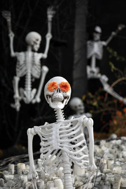 istock Human skeleton model at a Halloween fest 1778157129