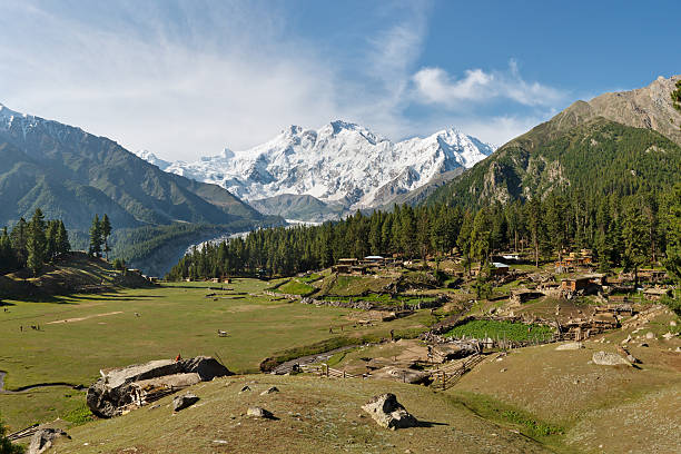 istock Nanga Parbat and Fairy Meadows 177815812