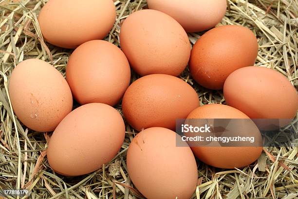 Huevos Foto de stock y más banco de imágenes de Abundancia - Abundancia, Alimento, Almiar