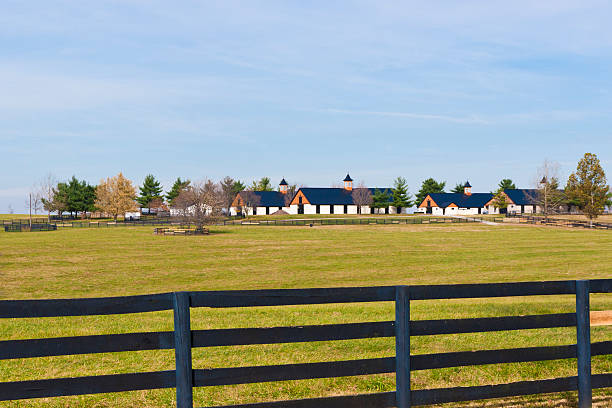 istock Late Autumn at countryside. 177816322