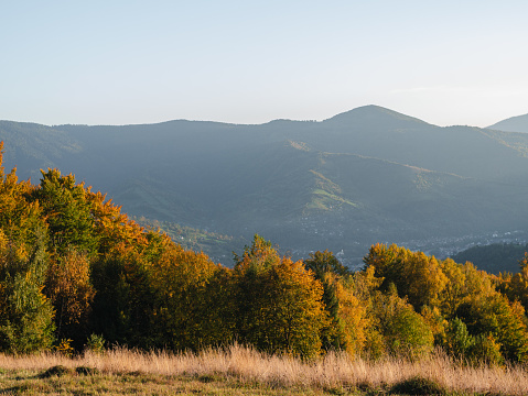 Village in Transcarpathia region scenic Carpathian mountains view Ukraine, Europe. Colorful leaves autumn trees lush foliage countryside landscape fall woods Local tourism hiking Recreational Vacation