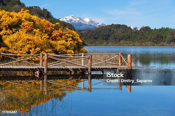 Trebol Lagune Patagonien Argentinien Stockfoto und mehr Bilder von Bariloche - Bariloche, Baum, Berg