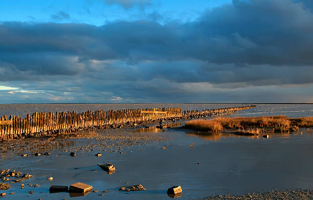 istock old wooden dike (wave breaker) in North sea 177816689