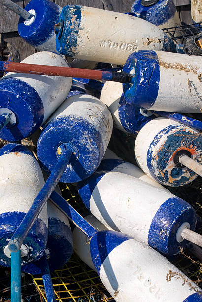 istock Fishing Buoys 177816941