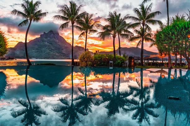 Beautiful sunrise over a pool with palm trees and mountains in the background. Bora Bora A beautiful sunrise over a pool with palm trees and mountains in the background. Bora Bora bora bora mountain stock pictures, royalty-free photos & images