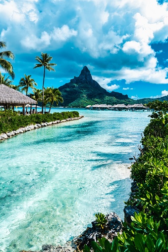 A scenic view of the turquoise ocean, palm trees, and mountains. Bora Bora, French Polynesia