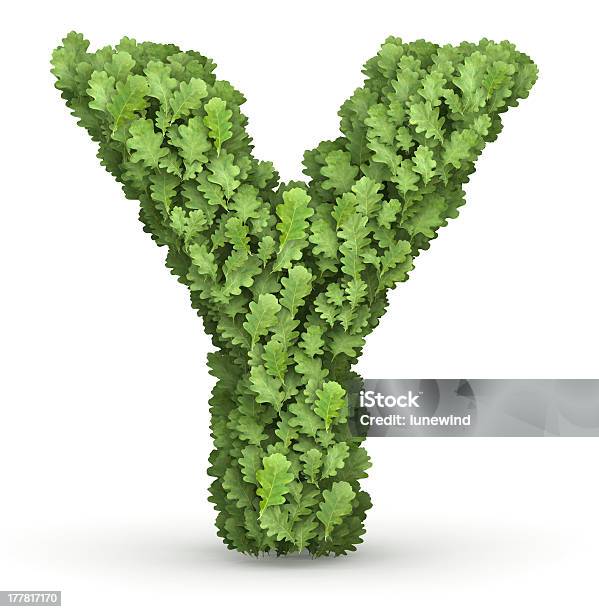 レター年から緑の葉 - アルファベットのストックフォトや画像を多数ご用意 - アルファベット, アルファベットのY, オークの木