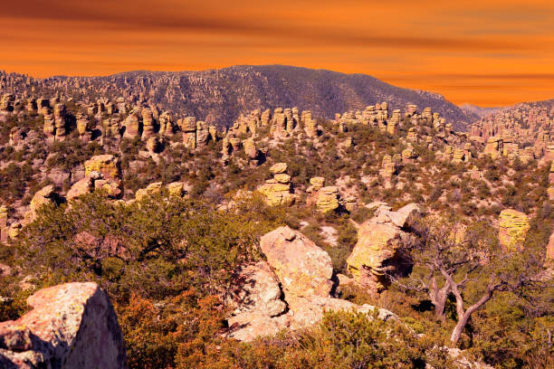 pomnik narodowy chiricahua arizona - chiricahua national monument zdjęcia i obrazy z banku zdjęć