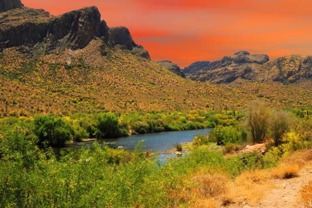 istock Salt River Recreation Area Arizona 1778178122