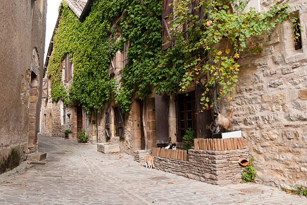 Medieval street in Cordes sur Ciel stock photo